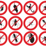 Which Pest Control Services are available in Kenya